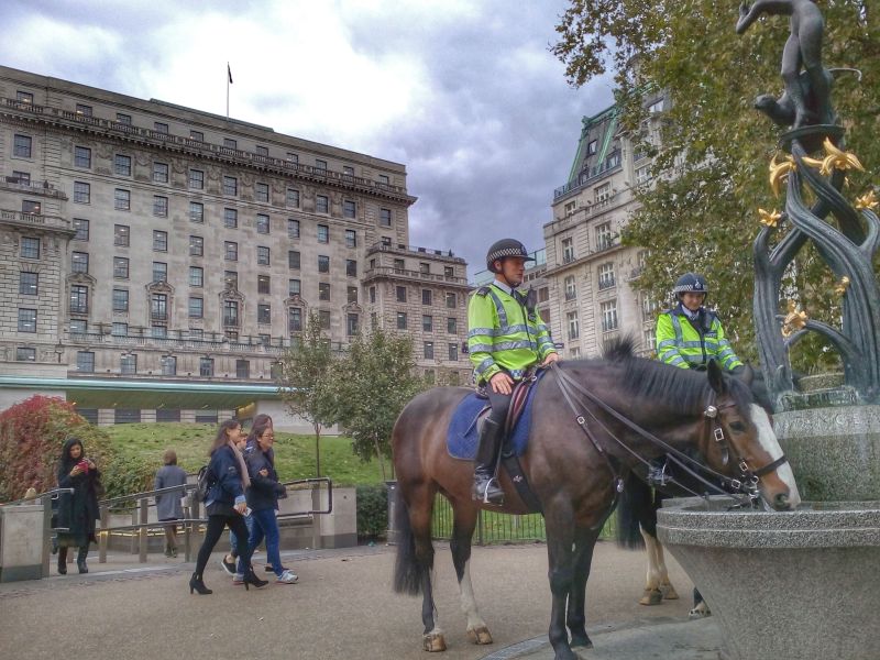 london police horses